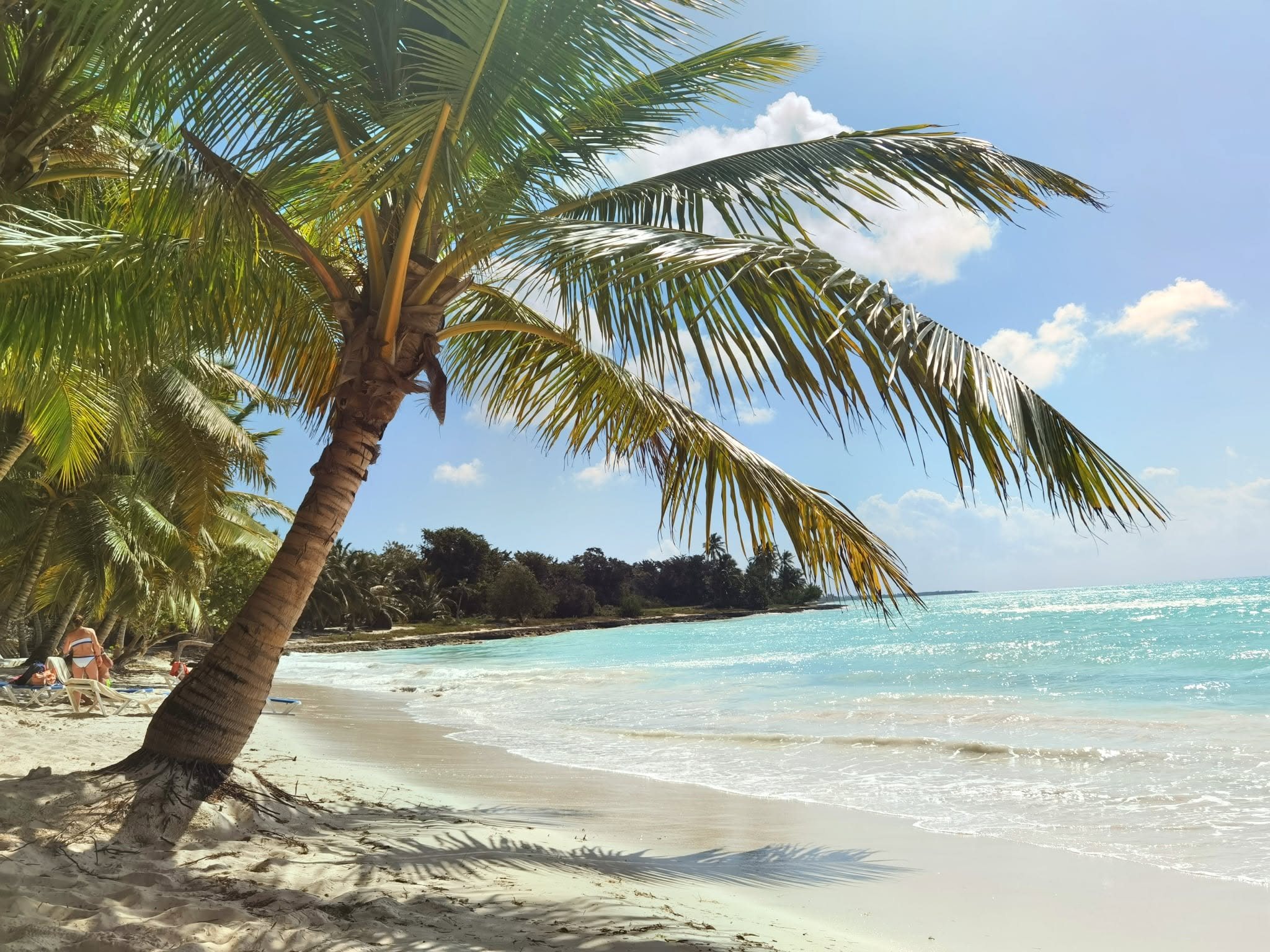 Vrei o vacanță care să-ți împlinească visul de aventură? Puerto Plata, Santo Domingo, Laguna Gri Gri, cenota Dudu, plaje azurii și experiențe dominicane...  ✈️ Zbor direct cu Dreamliner și 7 nopți all inclusive